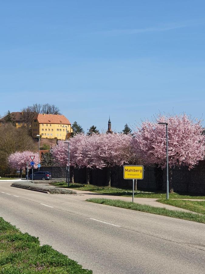 Ferienwohnung Zum Schlossblick Naehe Europa Park Mahlberg Εξωτερικό φωτογραφία