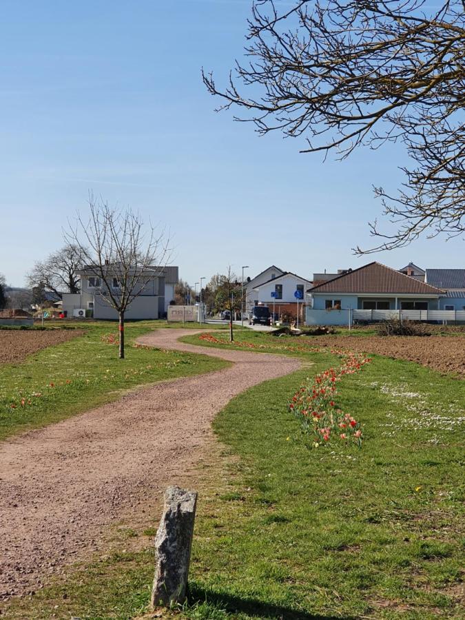 Ferienwohnung Zum Schlossblick Naehe Europa Park Mahlberg Εξωτερικό φωτογραφία