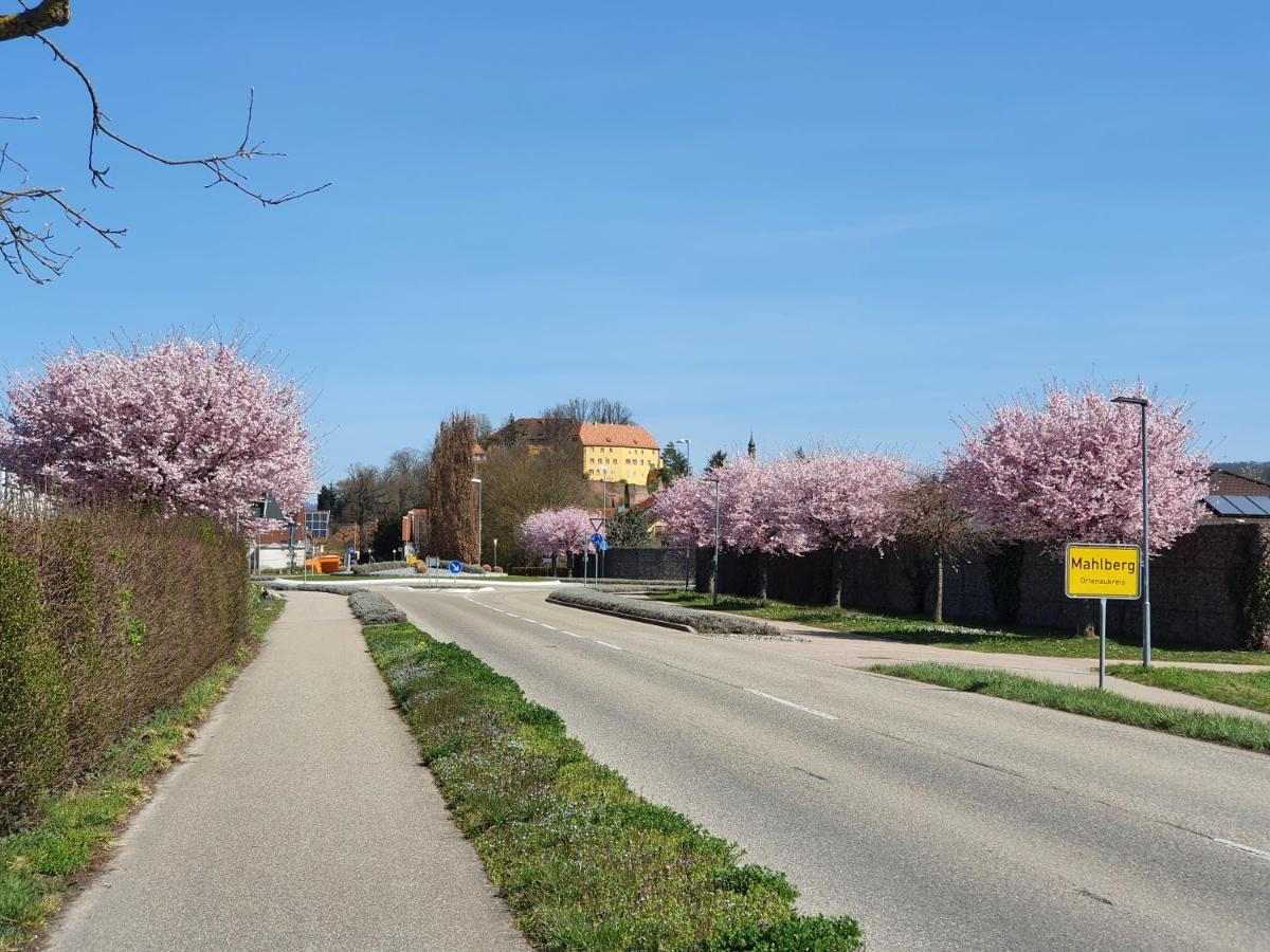 Ferienwohnung Zum Schlossblick Naehe Europa Park Mahlberg Εξωτερικό φωτογραφία